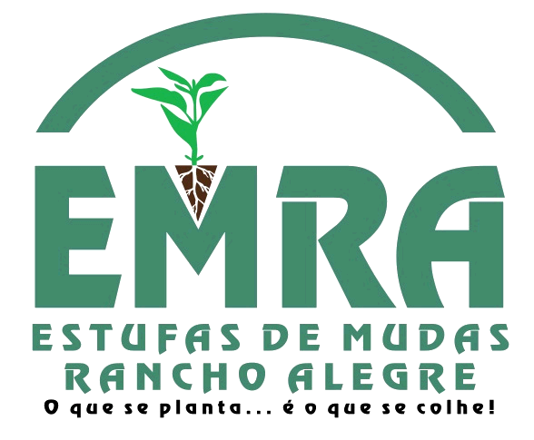 LOGO EMRA